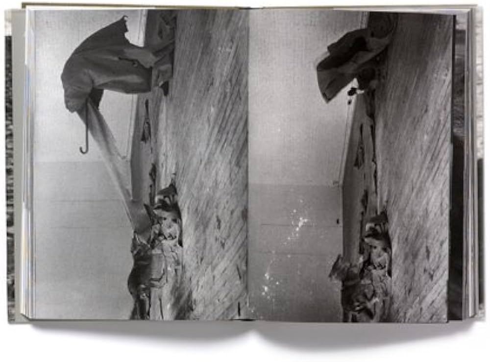 Amazon | Joseph Beuys: We Go This Way | Tisdall, Caroline | History